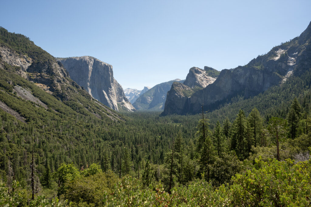 Yosemite Valley Tunnel View El Capitan Half Dome pine forest California fine art landscape photography by Hadi Baradaran ArtQuestor