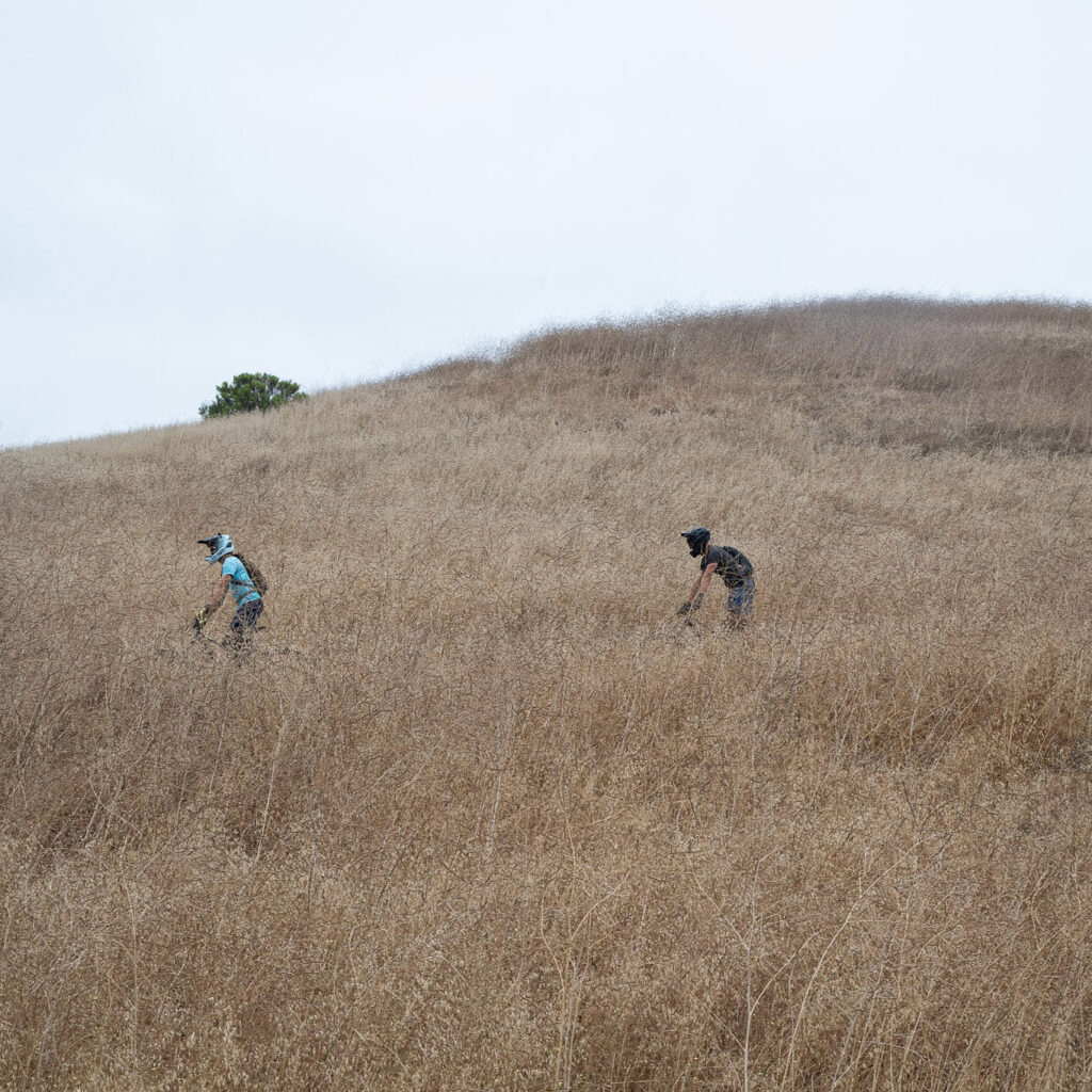 Two cyclists riding across golden dry hillside landscape Orange County California fine art outdoor photography by Hadi Baradaran ArtQuestor