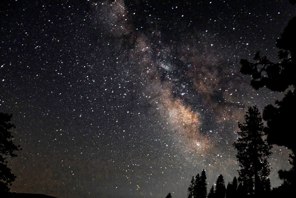 Home Tree silhouettes under Milky Way starry night sky Yosemite National Park California astrophotography by Hadi Baradaran ArtQuestor
