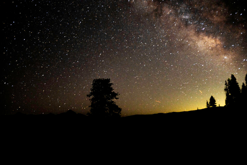 Tree silhouette against glowing night sky Yosemite National Park California fine art astrophotography by Hadi Baradaran ArtQuestor