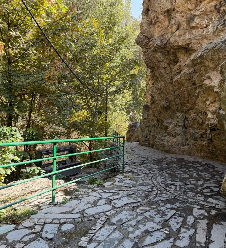 Stone path through lush autumn forest Darband mountain trail Tehran Iran fine art travel photography by Hadi Baradaran ArtQuestor