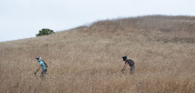 Cropped 77876946 C7E3 4CCA A6A9 A3F94B6D67D0