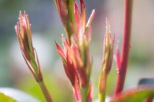 Home dsc 4831 enhanced sr