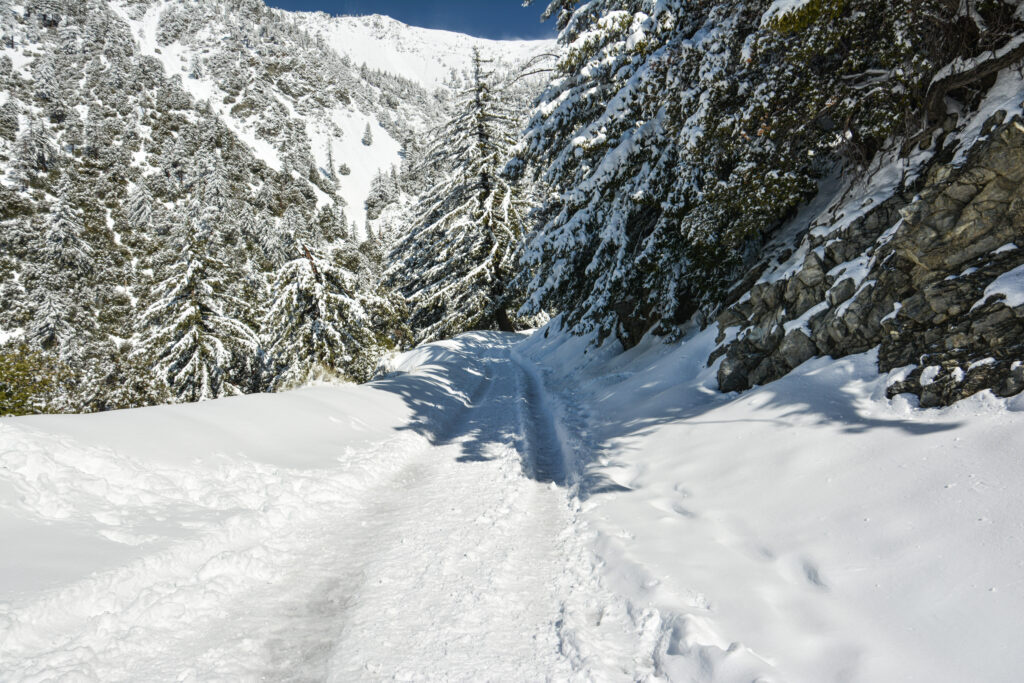 Home snow lined trail winter forest Mount Baldy California fine art landscape photography by Hadi Baradaran ArtQuestor
