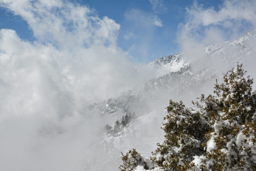 dramatic clouds over pine trees Mount Baldy California fine art landscape photography by Hadi Baradaran ArtQuestor
